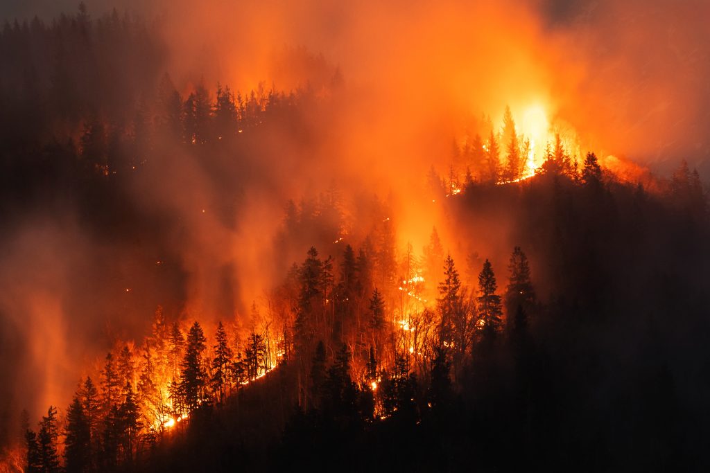 Portál FireRisk: Nástroj pro hodnocení rizika požárů v České republice